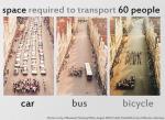 Car, bus or bicycle?